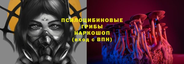 молекула духа Медвежьегорск