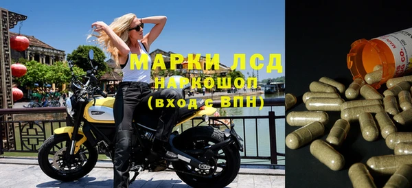 молекула духа Медвежьегорск
