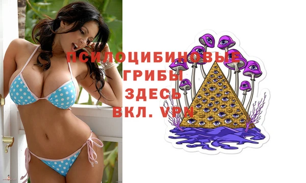 MDMA Premium VHQ Вяземский